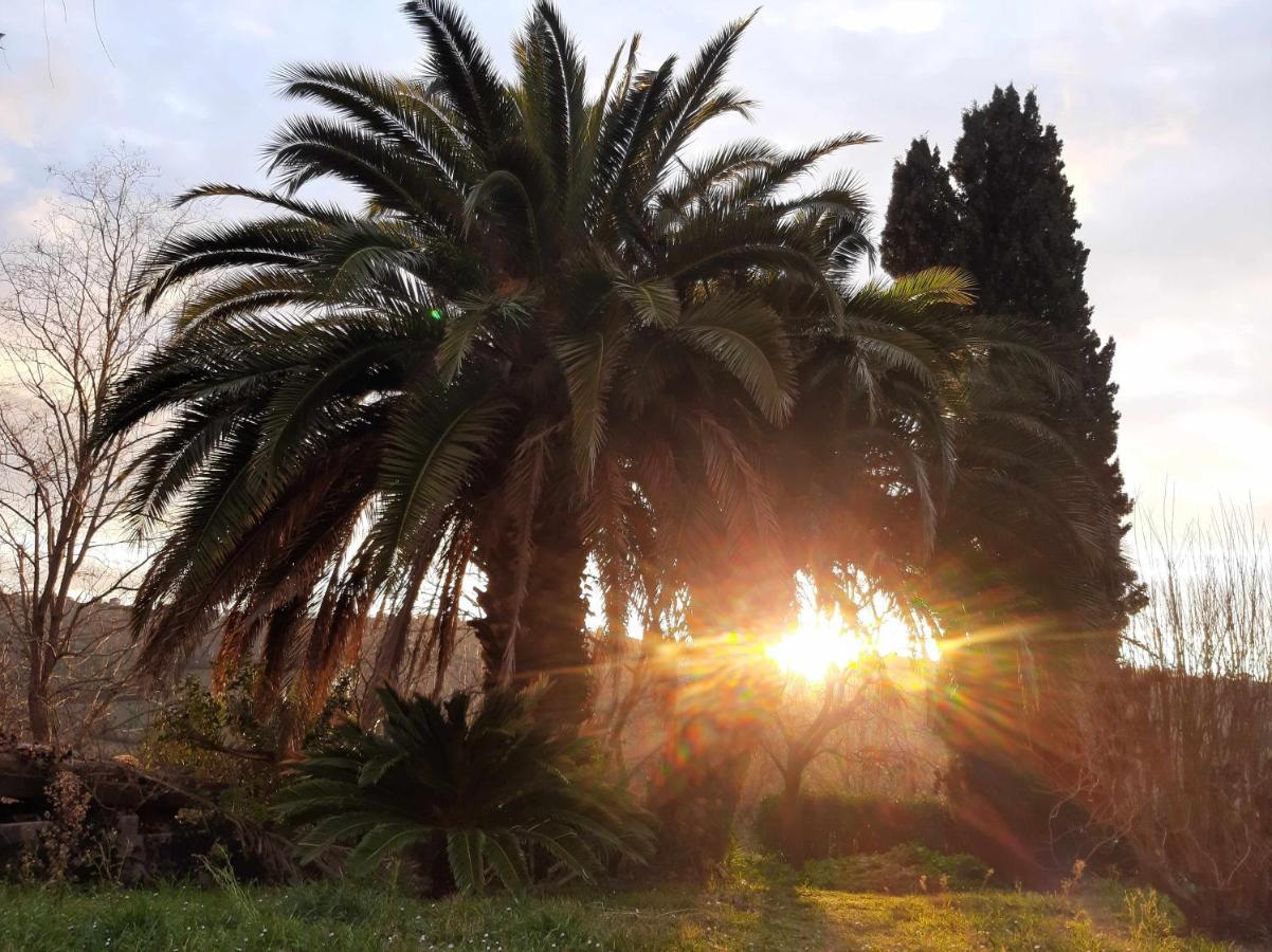 La Meriggia Senigallia Agriturismo Анкона Екстер'єр фото